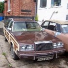 Beauty(pagebody)_344_392